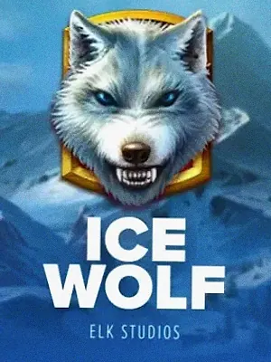 Ice Wolf at Cashmo